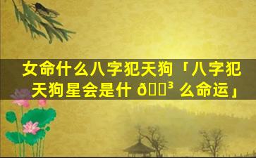 女命什么八字犯天狗「八字犯天狗星会是什 🐳 么命运」
